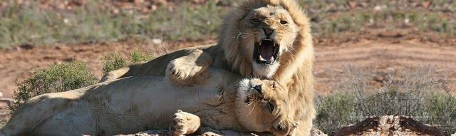 Aquila Private Game Reserve